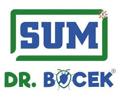 Logo 10